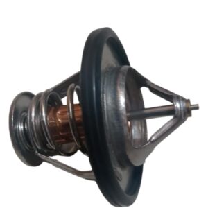 TERMOSTATO VOLEEX C30